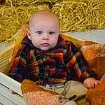 Face, Eyes, Facial Expression, Orange, Textile, Yellow, Pumpkin, Baby & Toddler Clothing, Baby, Wood, Calabaza, Grass, Toddler, Cucurbita, Comfort, Gourd, Child, Natural Foods, People In Nature, Toy, Person