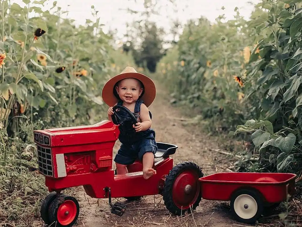 Red, Vehicle, Tractor, Toy, Leaf, Tree, Plant, Child, Grass, Agricultural Machinery, Riding Toy, Sitting, Toddler, Autumn, Person, Joy, Headwear