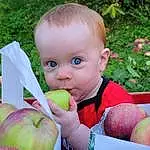 Skin, Plant, Hand, Arm, Photograph, People In Nature, Fruit, Green, Food, Natural Foods, Happy, Iris, Gesture, Grass, Apple, Baby & Toddler Clothing, Toddler, Biting, Seedless Fruit, Child, Person