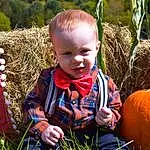 Head, Photograph, Plant, Eyes, People In Nature, Cucurbita, Pumpkin, Wood, Calabaza, Happy, Grass, Winter Squash, People, Toddler, Natural Foods, Gourd, Squash, Vegetable, Baby, Person