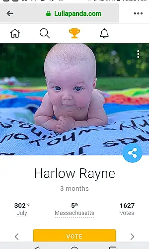First name baby Harlow