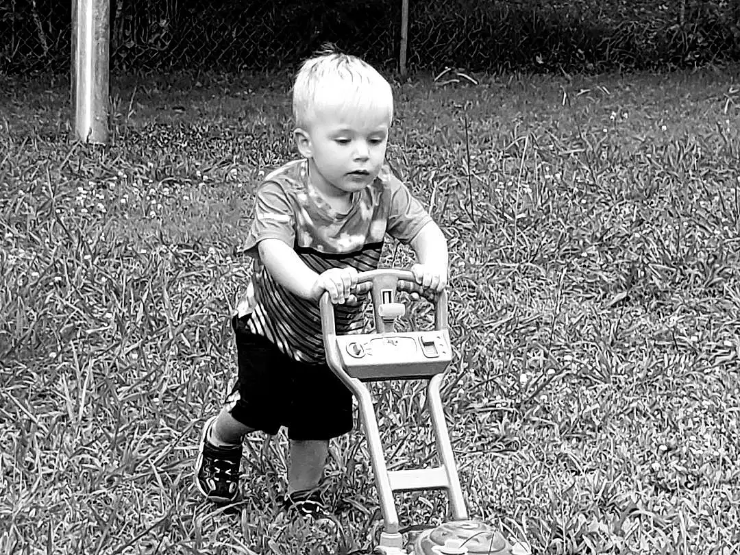 Black-and-white, Child, Grass, Lawn, Sitting, Photography, Play, Stock Photography, Monochrome, Plant, Vehicle, Yard, Toddler, Style, Person
