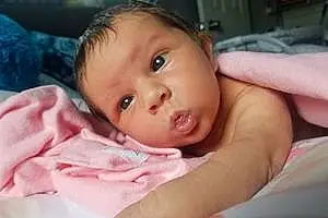 First name baby Dahlia