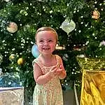 Head, Smile, Hairstyle, Photograph, Facial Expression, Christmas Tree, White, People In Nature, Green, Nature, Leaf, Happy, Christmas Ornament, Standing, Baby & Toddler Clothing, Fun, Toddler, Tree, Grass, People, Person, Joy