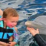 Water, Common Dolphins, Gesture, Body Of Water, Outdoor Recreation, Leisure, Happy, Recreation, Dolphin, Fin, Bottlenose Dolphin, Smile, Marine Biology, Common Bottlenose Dolphin, Hat, Fish, Toddler, Fun, Person, Joy