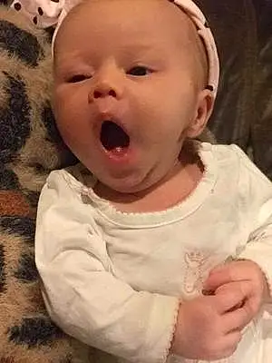 Yawn baby Artemis