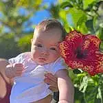 Face, Skin, Flower, Plant, Leaf, Happy, People In Nature, Yellow, Petal, Baby & Toddler Clothing, Sky, Toddler, Baby, Grass, Tree, Hawaiian Hibiscus, Trunk, Child, Annual Plant, Leisure, Person