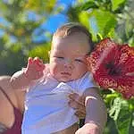 Plant, Flower, Baby & Toddler Clothing, Happy, Tree, Toddler, Grass, Baby, People In Nature, Sky, Petal, Child, Hawaiian Hibiscus, Sitting, Leisure, Peach, Pollen, Rose Family, Flowering Plant, T-shirt, Person