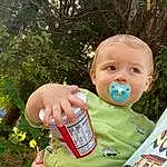 Hand, Plant, People In Nature, Leaf, Grass, Gesture, Plastic Bottle, Happy, Tree, Baby & Toddler Clothing, Toddler, Bottle, Baby, Fun, Child, Drinking, Sitting, Baby Products, Drink, Recreation, Person
