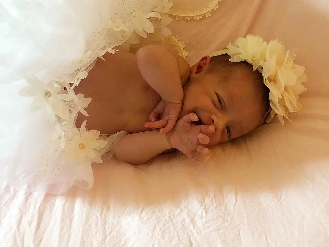 Comfort, Petal, Baby, Flash Photography, Headgear, Happy, Headpiece, Embellishment, Bed, Toddler, Baby & Toddler Clothing, Bridal Accessory, Baby Sleeping, Linens, Hair Accessory, Child, Bedding, Fashion Accessory, Cut Flowers, Jewellery, Person