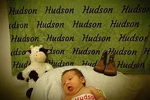 First name baby Hudson