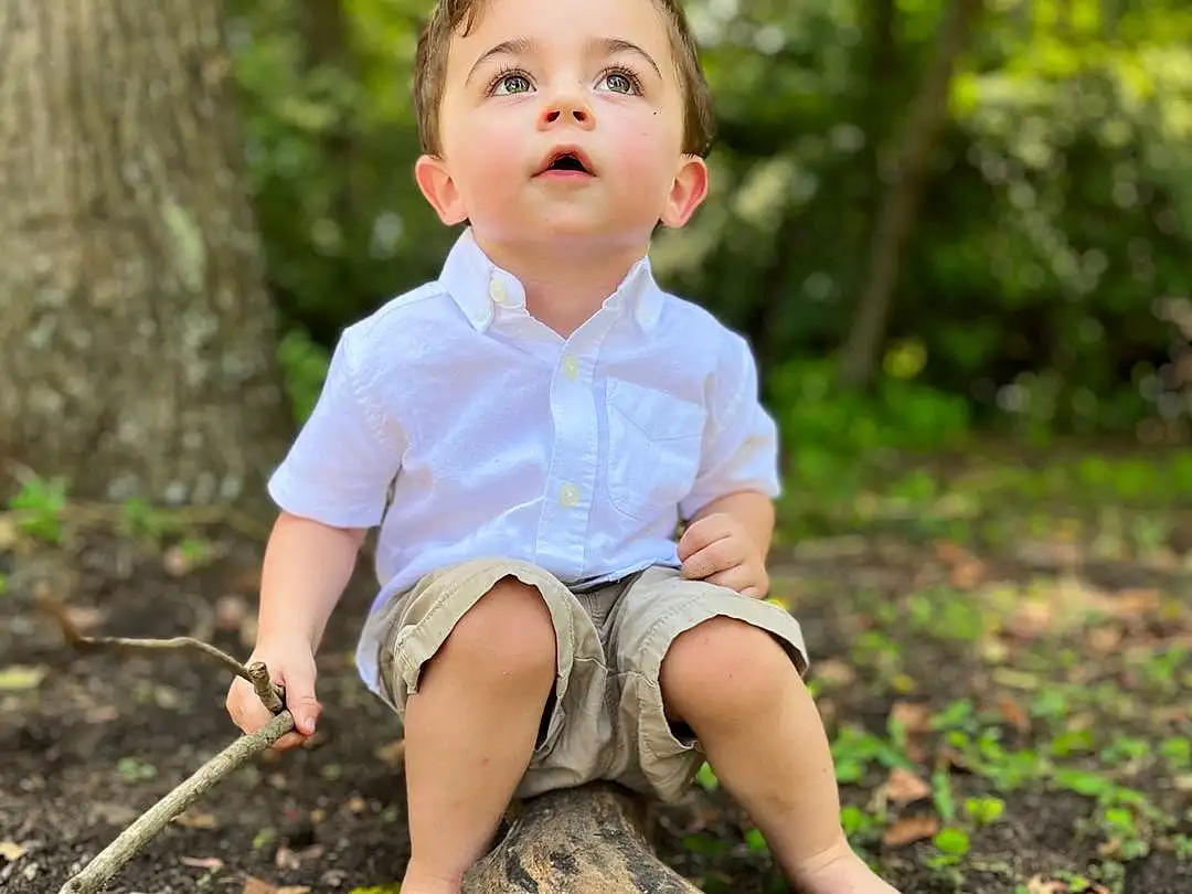 Face, Plant, People In Nature, Leg, Wood, Tree, Smile, Flash Photography, Happy, Sunlight, Grass, Toddler, Baby & Toddler Clothing, Forest, Shorts, Beauty, Leisure, Baby, Woodland, Trunk, Person
