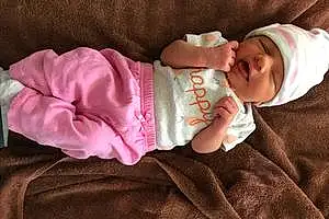 First name baby Emelia