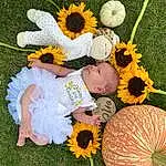 Flower, Plant, Green, Botany, Leaf, Petal, People In Nature, Grass, Happy, Yellow, Baby & Toddler Clothing, Toddler, Bouquet, Baby, Cut Flowers, Flower Arranging, Flowering Plant, Floral Design, Child, Spring, Person