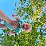 Sky, Hand, People In Nature, Botany, Plant, Happy, Gesture, Leisure, Tree, Grass, Toddler, Fun, Electric Blue, Recreation, Baby, Elbow, Thumb, Child, Person