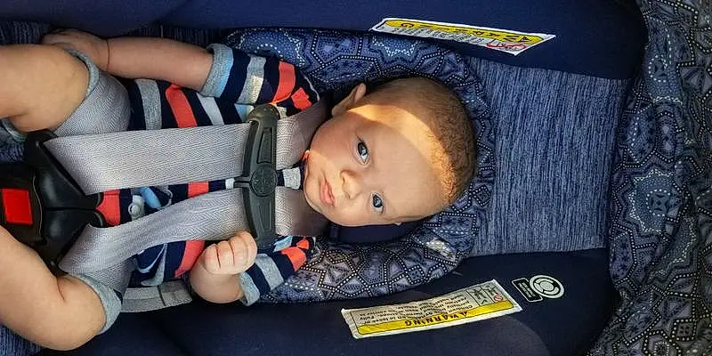 Child, Toddler, Car Seat, Baby, Person