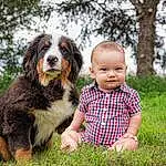 Dog, Smile, Dog breed, Plant, Carnivore, Happy, Companion dog, Grass, Tree, Toddler, Snout, Baby, People In Nature, Canidae, Bernese Mountain Dog, Sky, Working Dog, Fun, Portrait Photography, Person