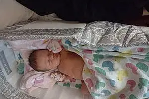 First name baby Freya