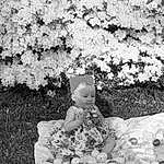 Flower, Photograph, Plant, Black, Leaf, Botany, Branch, Black-and-white, Style, Petal, Grass, People In Nature, Toy, Headgear, Art, Black & White, Monochrome, Baby, Doll, Person