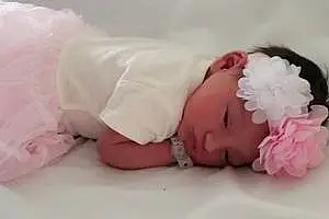 First name baby Alaina