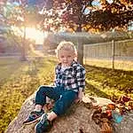 Plant, Eyes, People In Nature, Leaf, Wood, Branch, Orange, Tree, Happy, Sunlight, Grass, Woody Plant, Morning, Tints And Shades, Deciduous, Toddler, Recreation, Leisure, Landscape, Forest, Person