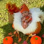 Jeans, Plant, Pumpkin, People In Nature, Green, Leaf, Botany, Orange, Grass, Happy, Calabaza, Tree, Baby & Toddler Clothing, Gourd, Squash, Toddler, Winter Squash, Vegetable, Natural Foods, Baby, Person, Headwear