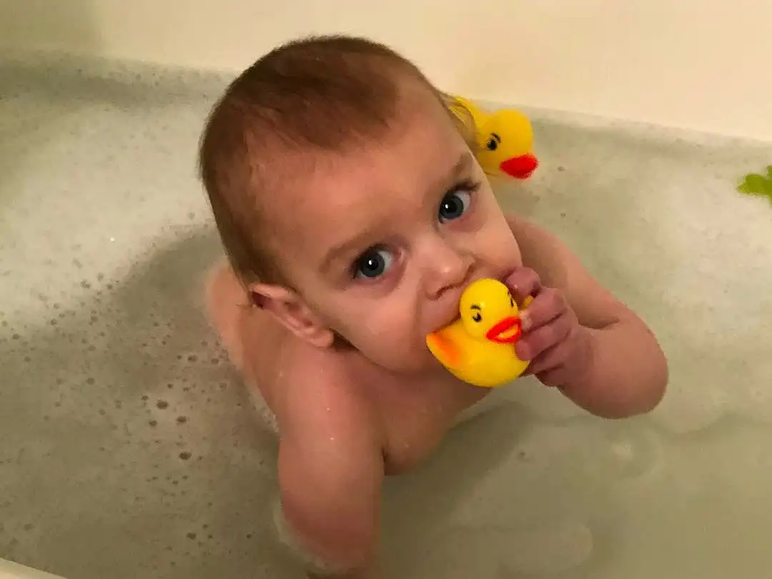 Child, Bathing, Skin, Baby, Head, Toddler, Bath Toy, Rubber Ducky, Yellow, Nose, Eyes, Finger, Hand, Mouth, Toy, Baby Bathing, Bathtub, Person, Joy