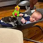 Head, Comfort, Toy, Baby, Musical Instrument, Wood, Fun, Toddler, Leisure, Chair, Child, Hardwood, Room, Sitting, Baby Products, Stuffed Toy, Infant Bed, Lap, Person