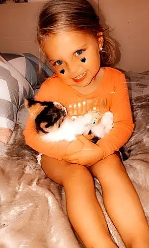 Kitten baby Avalyn