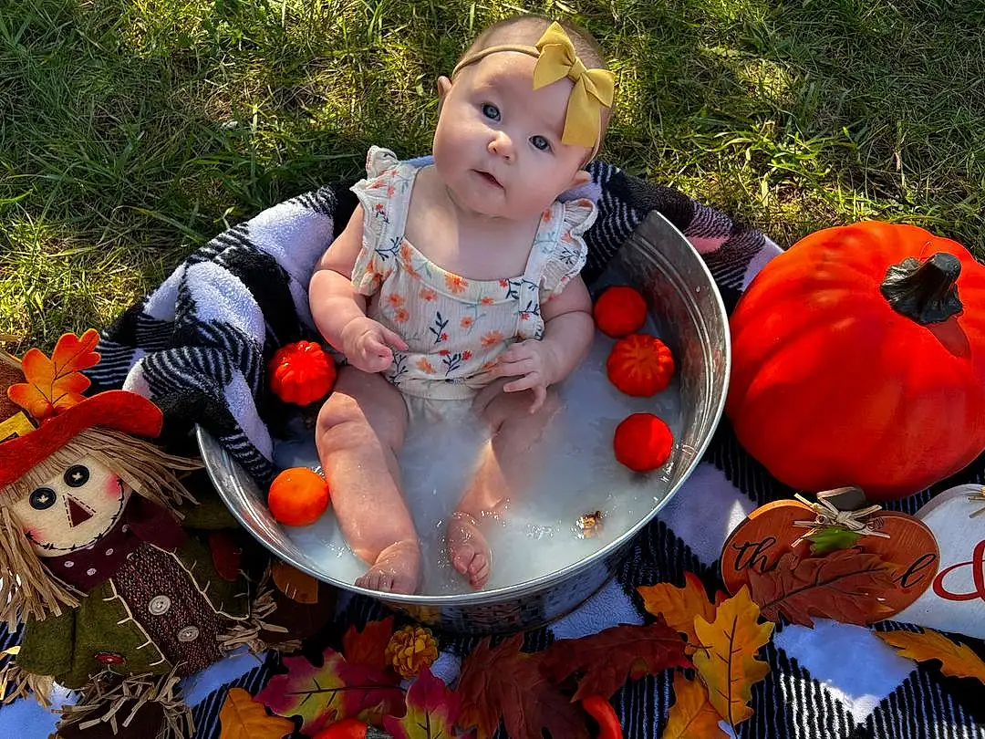 Pumpkin, Plant, Orange, Calabaza, Winter Squash, People In Nature, Doll, Cucurbita, Toy, Natural Foods, Grass, Gourd, Baby & Toddler Clothing, Happy, Vegetable, Squash, Art, Whole Food, Leisure, Sitting, Person