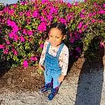 Flower, Plant, People In Nature, Leaf, Botany, Petal, Happy, Pink, Baby & Toddler Clothing, Grass, Toddler, Magenta, Groundcover, Beauty, Travel, Leisure, Electric Blue, Annual Plant, Flowering Plant, Fun, Person, Joy