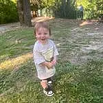 Plant, Shorts, Leg, People In Nature, Leaf, Smile, Tree, Grass, Toddler, Happy, Groundcover, Grassland, Meadow, Landscape, Lawn, Recreation, Soil, Garden, Child, Leisure, Person, Joy