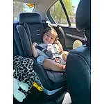 Car Seat Cover, Baby In Car Seat, Car Seat, Head Restraint, Child, Cactus, Auto Part, Vehicle, Car, Passenger, Family Car, Toddler, Comfort, Plant, City Car, Person, Joy