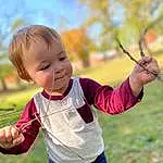 Child, People In Nature, Toddler, Leaf, Tree, Yellow, Play, Branch, Grass, Spring, Happy, Smile, Fun, Hand, Plant, Autumn, Photography, Baby, Gesture, Person