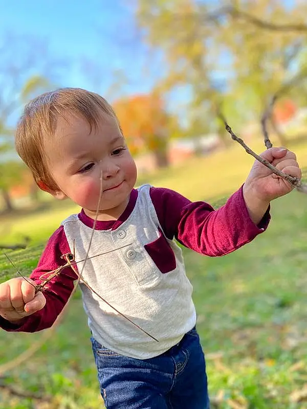 Child, People In Nature, Toddler, Leaf, Tree, Yellow, Play, Branch, Grass, Spring, Happy, Smile, Fun, Hand, Plant, Autumn, Photography, Baby, Gesture, Person