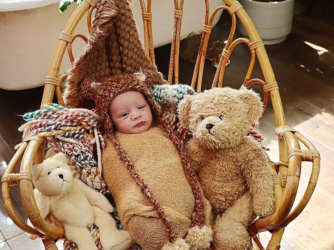 Plant, Furniture, Flowerpot, Chair, Houseplant, Wood, Outdoor Furniture, Toy, Comfort, Fawn, Headgear, Wicker, Basket, Leisure, Baby Products, Twig, Child, Grass, Sitting, Furry friends, Person