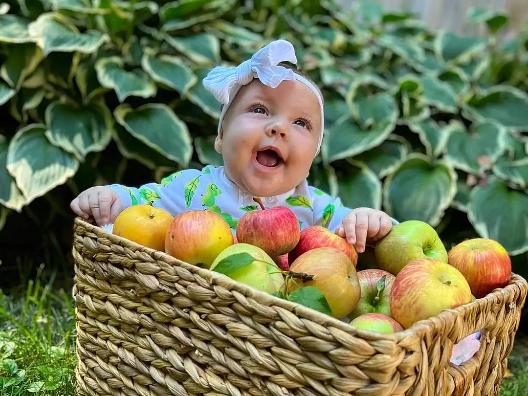 Food, Plant, Fruit, Natural Foods, Basket, Grass, Staple Food, Happy, Whole Food, Apple, Vehicle, Superfood, Local Food, Wood, Storage Basket, Produce, Mcintosh, Toddler, Rose Family, Accessory Fruit, Person, Headwear