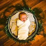 Face, Cheek, Head, Eyes, Plant, Comfort, Baby, Wood, Toddler, Happy, Baby & Toddler Clothing, Grass, Hardwood, Tree, Linens, Event, People In Nature, Bedtime, Child, Person