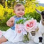 Flower, Plant, Smile, Facial Expression, Nature, Happy, Petal, Dress, Baby & Toddler Clothing, People In Nature, Grass, Toddler, Morning, Child, Baby, Companion dog, Flower Arranging, Bouquet, Leisure, Person, Joy