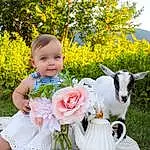 Flower, Plant, Petal, Dress, Green, Tree, Sky, People In Nature, Happy, Yellow, Grass, Baby, Flower Arranging, Toddler, Wedding Ceremony Supply, Summer, Bouquet, Rose, Formal Wear, Rose Family, Person