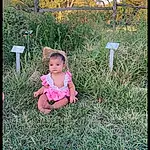 Plant, People In Nature, Leaf, Tree, Natural Environment, Grass, Happy, Terrestrial Plant, Toddler, Baby & Toddler Clothing, Grassland, Meadow, Soil, Natural Landscape, Magenta, Prairie, Sky, Sitting, Landscape, Person