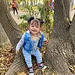 Plant, People In Nature, Nature, Leaf, Branch, Tree, Wood, Grass, Happy, Trunk, Woody Plant, Adaptation, Toddler, Deciduous, Baby & Toddler Clothing, Beauty, Forest, Woodland, Person, Joy