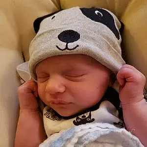 First name baby Jensen