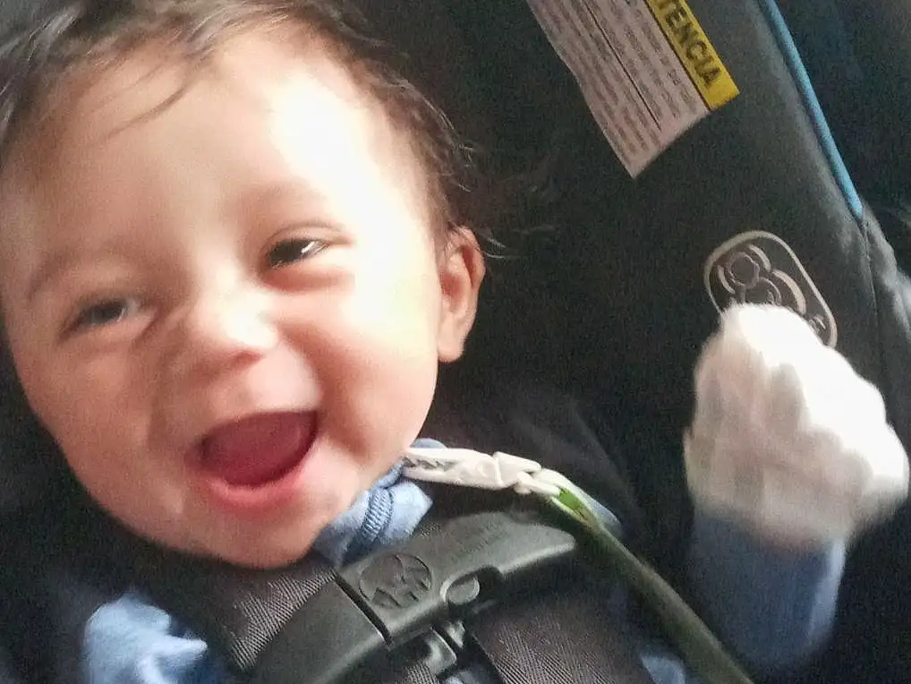 Nose, Cheek, Smile, Eyes, Seat Belt, Comfort, Flash Photography, Baby Carriage, Vroom Vroom, Happy, Toddler, Car Seat, Baby, Baby In Car Seat, Auto Part, Plant, Child, Vehicle Door, Baby Products, Tree, Person
