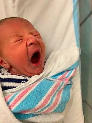 Yawn baby Elijah