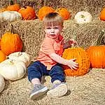 Clothing, Pumpkin, Photograph, Nature, Winter Squash, Leaf, Calabaza, Natural Foods, Squash, Cucurbita, Orange, People In Nature, Gourd, Whole Food, People, Grass, Local Food, Vegetable, Plant, Toddler, Person