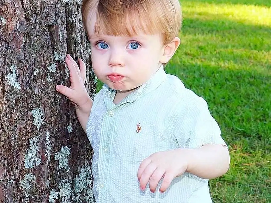 Hair, Face, Skin, Head, Jeans, Lip, Hand, Hairstyle, Photograph, Plant, People In Nature, Sleeve, Happy, Gesture, Grass, Tree, Cool, Baby & Toddler Clothing, Toddler, Wood, Person