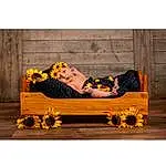 Yellow, Furniture, Footwear, Couch, Coffin, Flower, Plant, Wood, Chaise Longue, Rectangle, Person