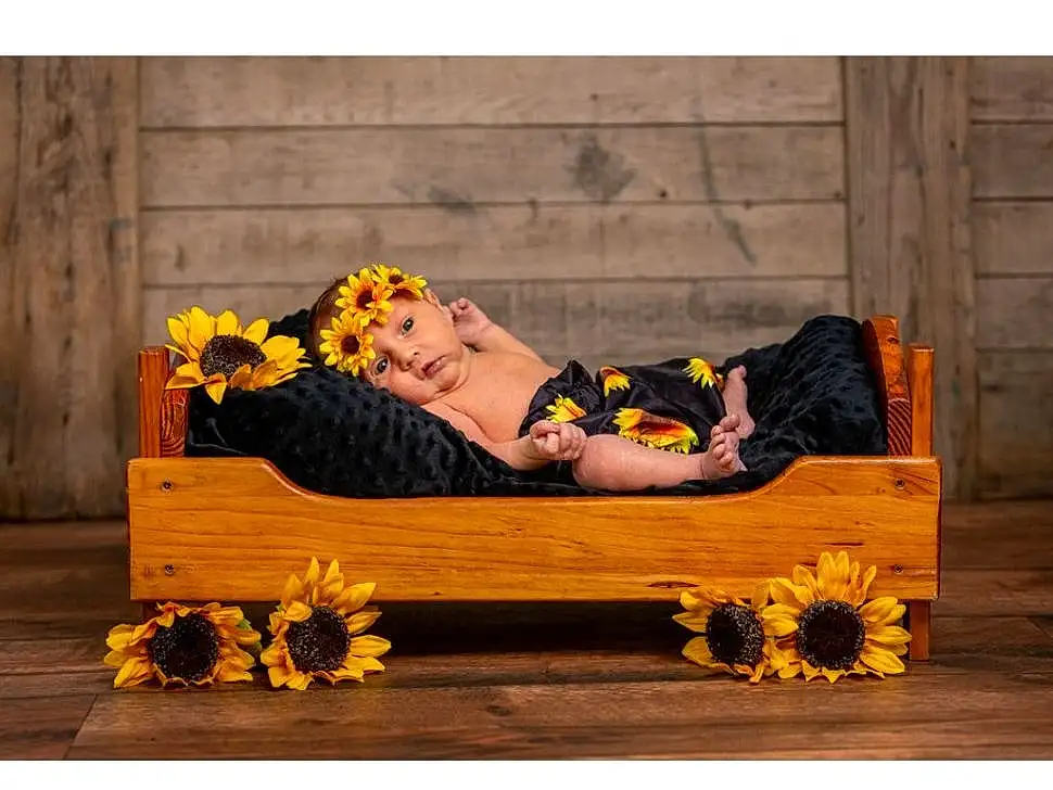 Yellow, Furniture, Footwear, Couch, Coffin, Flower, Plant, Wood, Chaise Longue, Rectangle, Person