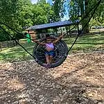 Plant, Tree, Sky, Grass, Leisure, Shade, Recreation, Soil, T-shirt, Landscape, Forest, Jungle, People In Nature, Outdoor Play Equipment, Sitting, City, Fun, Person, Joy